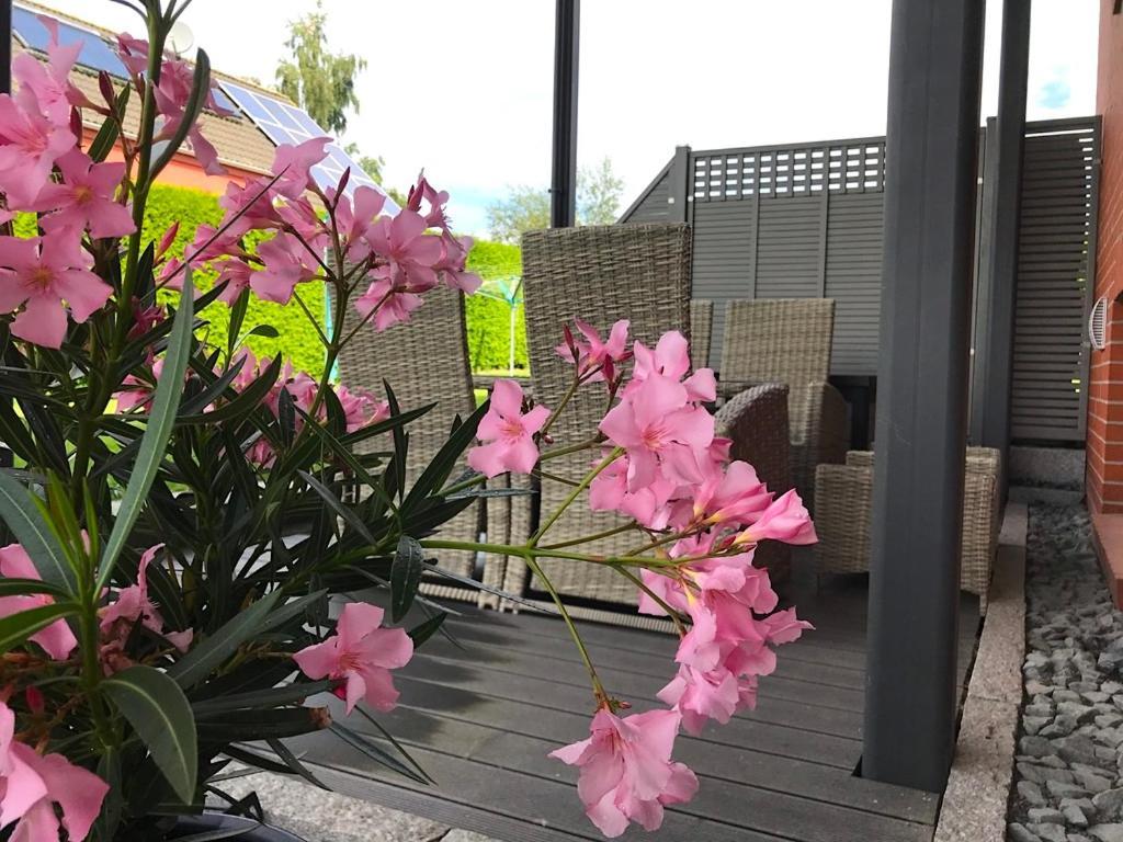 Ferienwohnung Haus im Grünen Ostseebad Heringsdorf Exterior foto